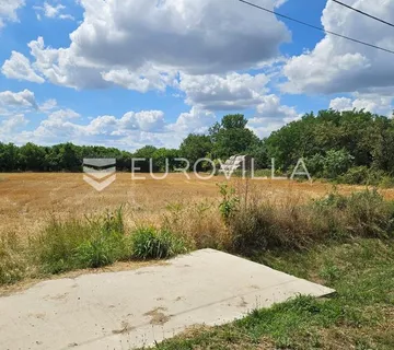 Branjina, imanje na parceli od 7658 m² - cover