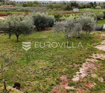 Istra, Umag, atraktivna parcela pravilnog oblika u blizini mora