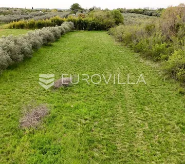 Istra, Umag, rijetka prilika Građevinsko zemljište u zelenom okruženju nadomak mora
