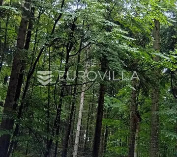 Vrbovsko, Lukovdol, šuma površine 31 000 m² - Lukovdol, Vrbovsko