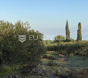Brač, Mirca, poljoprivredno zemljište - Sutivan