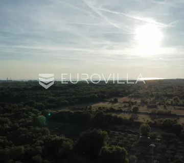 Istra, Vodnjan, kombinacija građevinskog i poljoprivrednog zemljišta sa šumom, rijetkost na tržištu