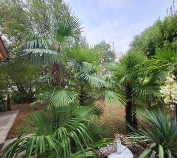 LOVRAN - PREKRASNA KUĆA S VELIKOM OKUĆNICOM 150M OD MORA - cover