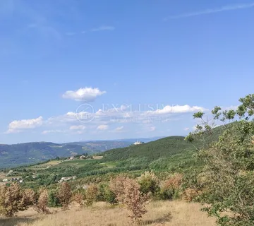 Istra - Okolica Motovuna Poljoprivredni Tereni - Rakotule, Karojba