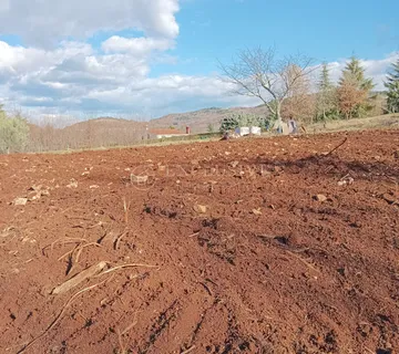 ISTRA - TEREN U KAROJBI - cover