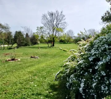 Rovinj, poljoprivredno zemljište 4217 m2 - cover