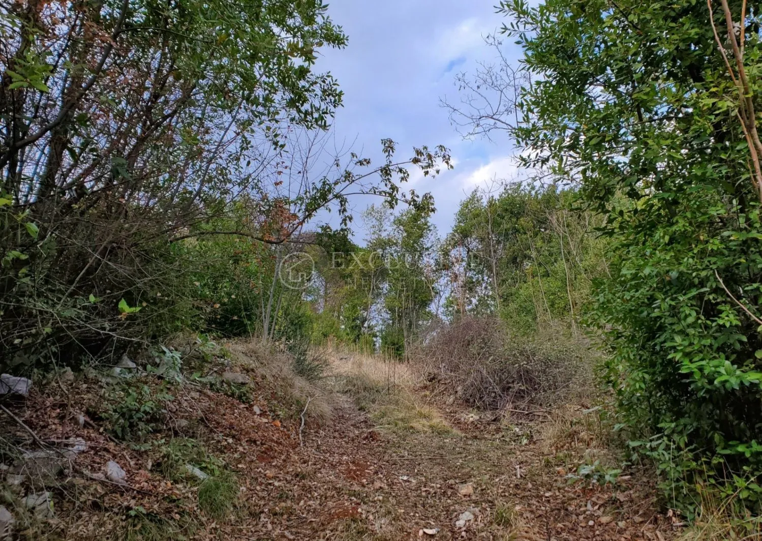 GRAĐEVINSKO Zemljište Medveja ! - cover