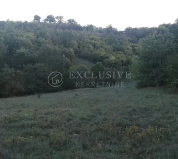 ISTRA - ZEMLJIŠTE 27000 m2 - Trviž, Pazin