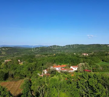 Istra - Teren U Okolici Motovuna - Rakotule, Karojba