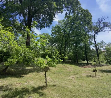 IKA PREKRASNO GRAĐEVINSKO ZEMLJIŠTE S POGLEDOM NA MORE - cover