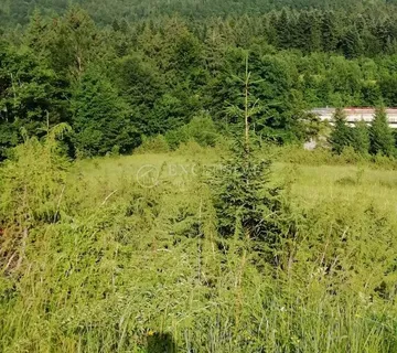 Poljoprivredno zemljište 5468m2 u Lokvama uz cestu - cover