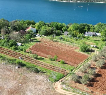Rovinj, poljoprivredno zemljište 10038 m2