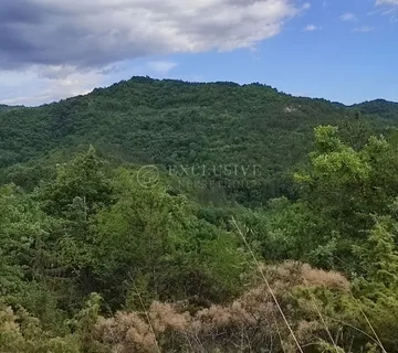 ISTRA - BUTONIGA - 90000 m2 - Butoniga, Pazin