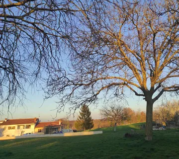Istra - Veliki Teren U Središnjoj Istri - Sveti Petar u Šumi