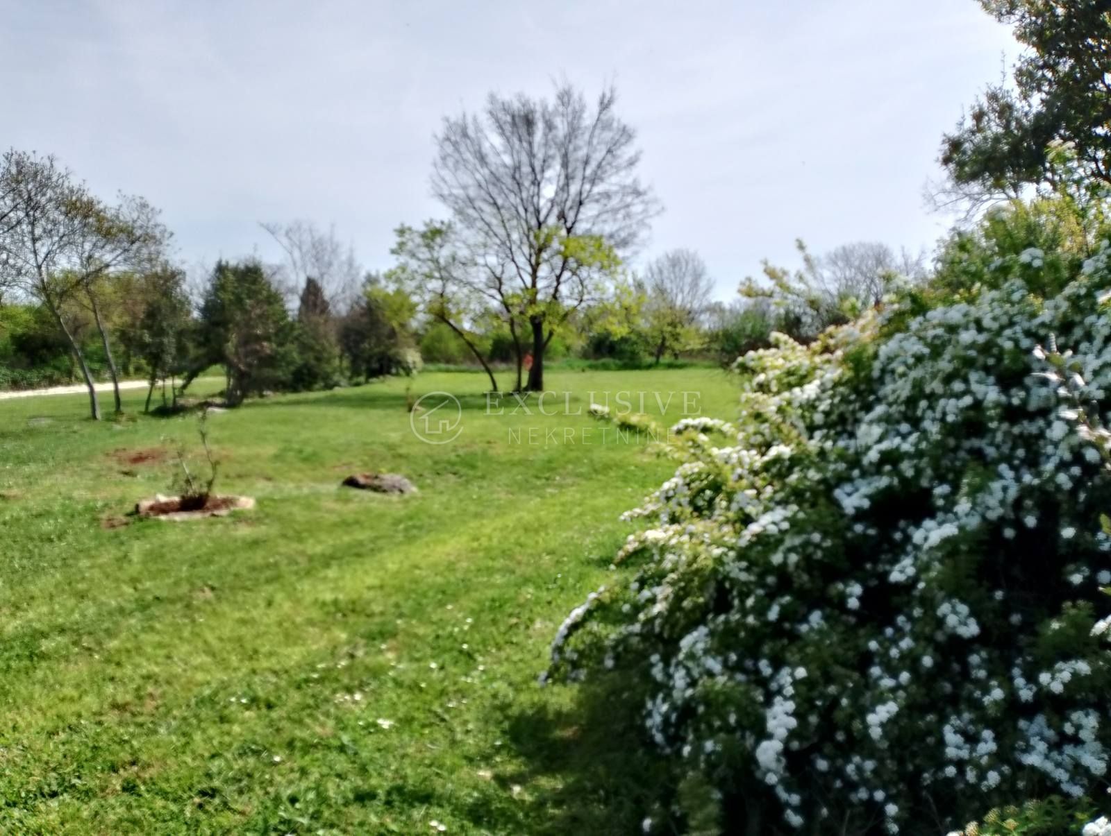 Fotografija