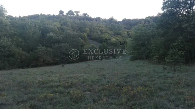 ISTRA - ZEMLJIŠTE 27000 m2 - cover