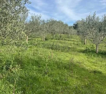 PRILIKA-MOGUĆA ZAMJENA ZA VILLU U ISTRI PODRUČJE POREČA ILI STANA ILI KUĆE U OPATIJI UZ NADOPLATU - cover