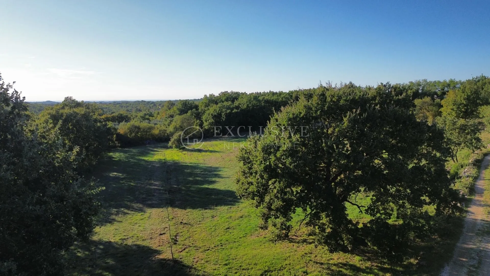 ISTRA - VELIK TEREN MRGANI - cover