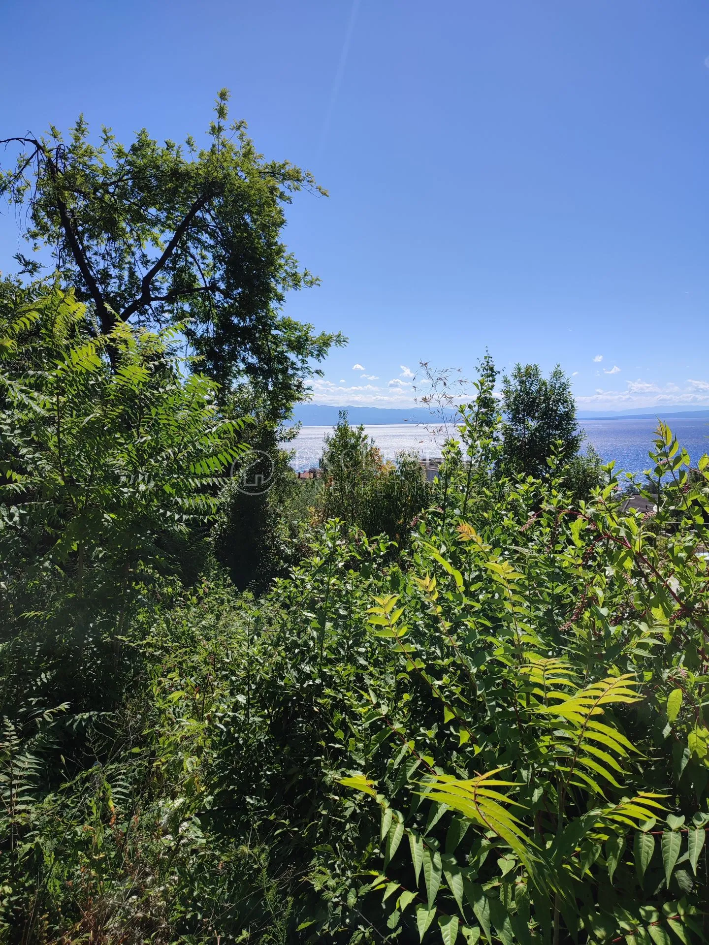 LOVRAN - OPRIĆ - 3526m2 - GRADJEVINSKO ZEMLJIŠTE - cover