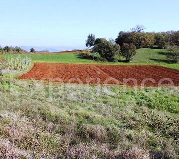 U okolici Motovuna - poljoprivredno zemljište na rubu građevinske zone! - cover