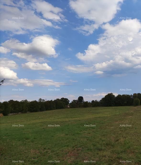Fotografija