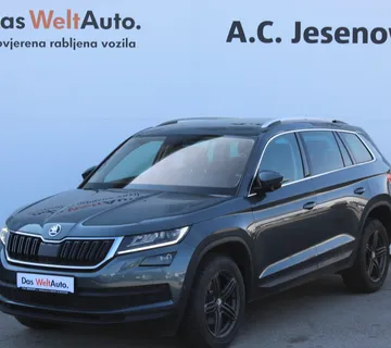 13113 Škoda KODIAQ Style 2.0 TDI DSG - cover