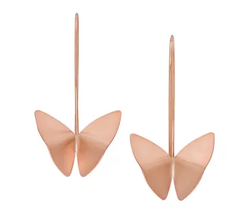 Leptir naušnice - cover