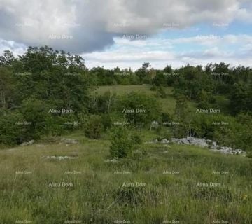 Buzet . Gradjevinsko zemljište, 980 m2. Naseljeni dio mjesta. - cover