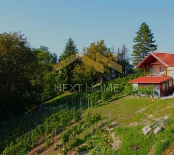 Zagorje, D. Stubica - lijepa vikendica sa vinogradom (prodaja) - cover