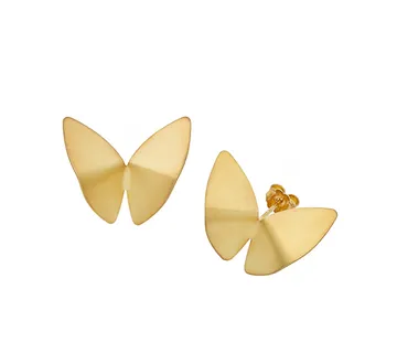 Leptir naušnice - cover