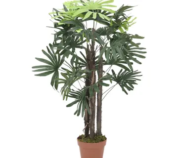 EUROPALMS Raphis palm tree, 90cm - cover