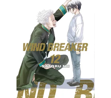Wind Breaker vol. 12 - cover