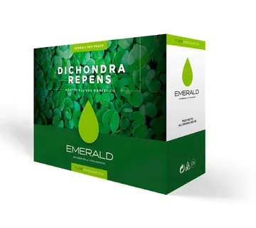 EMERALD DICHONDRA REPENS - cover