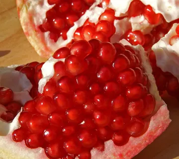 ŠIPAK “Konjski Zub” - cover