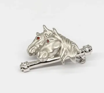 Srebrni broš Alaia - cover