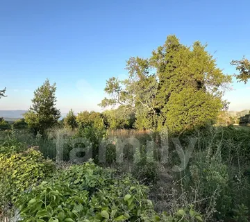 Prodaja Iznimno Prostranog Zemljišta Na Mirnoj Lokaciji - Bale