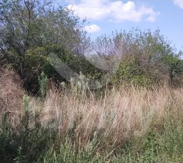 Lijepo Poljoprivredno Zemljište U Blizini Fažane - Fažana