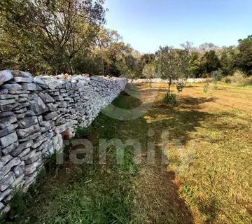 Predivan Maslinik Na Vrlo Mirnoj I Izoliranoj Lokaciji - Vodnjan