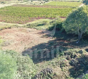 Atraktivno Građevinsko Zemljište Sa Pogledom Na Vinograde - Višnjan