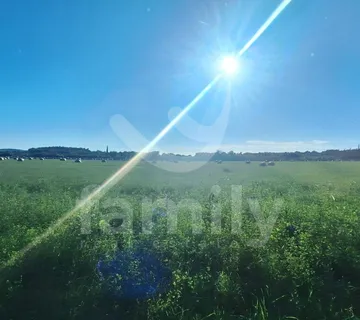 Atraktivno Prostrano Poljoprivredno Zemljište U Blizini Mora - Medulin