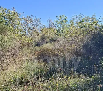 Poljoprivredno Zemljište Na Atraktivnoj Lokaciji U Blizini Rovinja