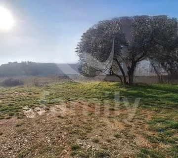 Prodaja Građevinskog Zemljišta Stambene Namjene U Blizini Mora - Peroj, Vodnjan