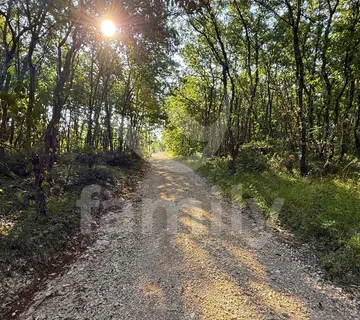Prodaja Prostrano Poljoprivredno Zemljište Šuma Vodnjan
