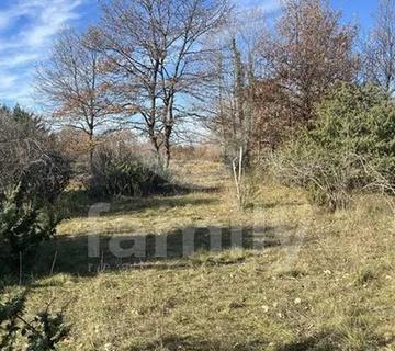 Prodaja Prostranog Zemljišta Blizu Urbaniziranog Dijela - Juršići, Svetvinčenat