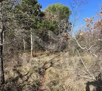 Eksluzivna Prodaja Prostrane Šume U Krnici - Krnica, Marčana