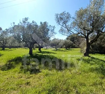 Građevinsko Zemljište U Galižani Na Rubu Zone - Privatnost + Mogućnost Parcelizacije - Galižana, Vodnjan