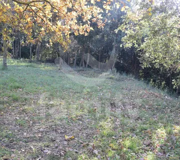Visoko Potencijalno Građevinsko Zemljište Na Odličnoj Lokaciji - Pula