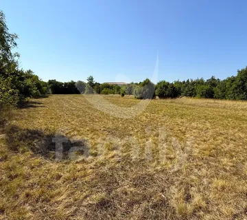 Prodaja Građevinsko Zemljište Svetvinčenat Uz Cestu I Infrastrukturu
