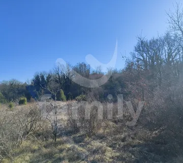 Zemljište - Vinograd - Juršići, Svetvinčenat