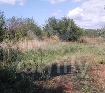 Lijepo Poljoprivredno Zemljište Sa Maslinikom Od 80 Stabala - Fažana